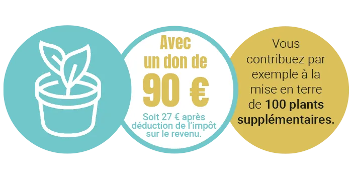 Avec un don de 90€, vous participez à la mise en terre de 100 plants