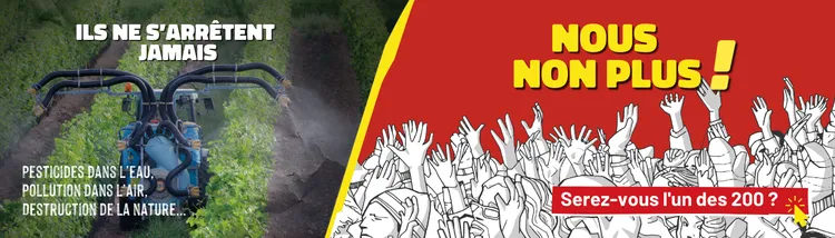 Ils ne s'arrêtent jamais, nous non plus !