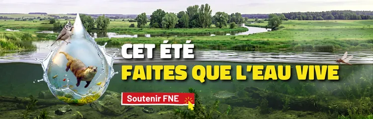 Cet été, faites que l'eau vive !