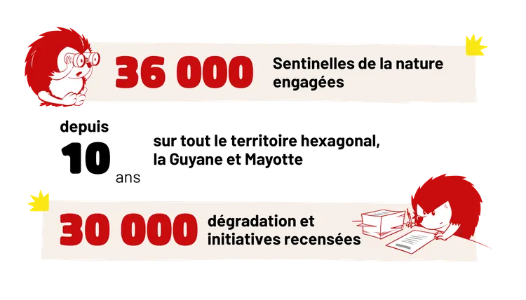 Des milliers d'actions positives chaque année avec les Sentinelles