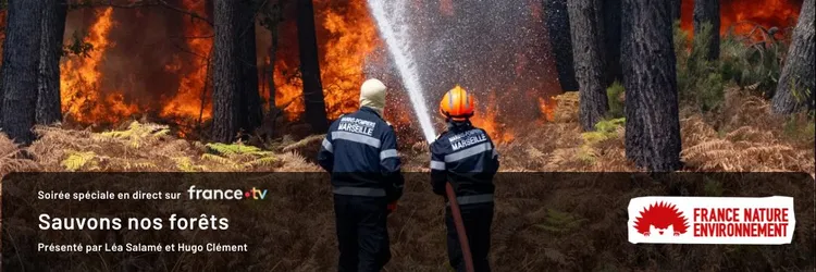 Sauvons nos forets - Une émission en partenariat avec France Télévisions