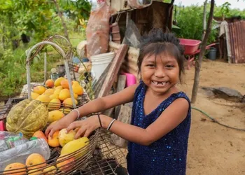 Image d'illustration