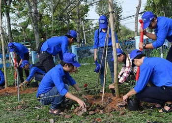 Image d'illustration