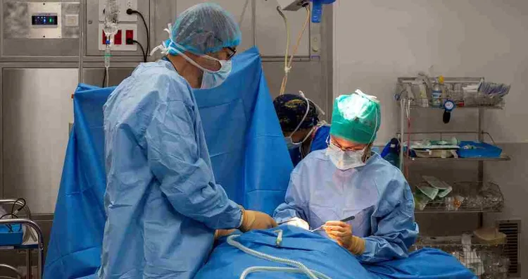 chercheuse Centre Eugène Marquis