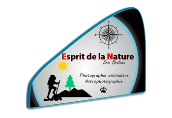 Image d'illustration