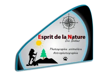 Image d'illustration