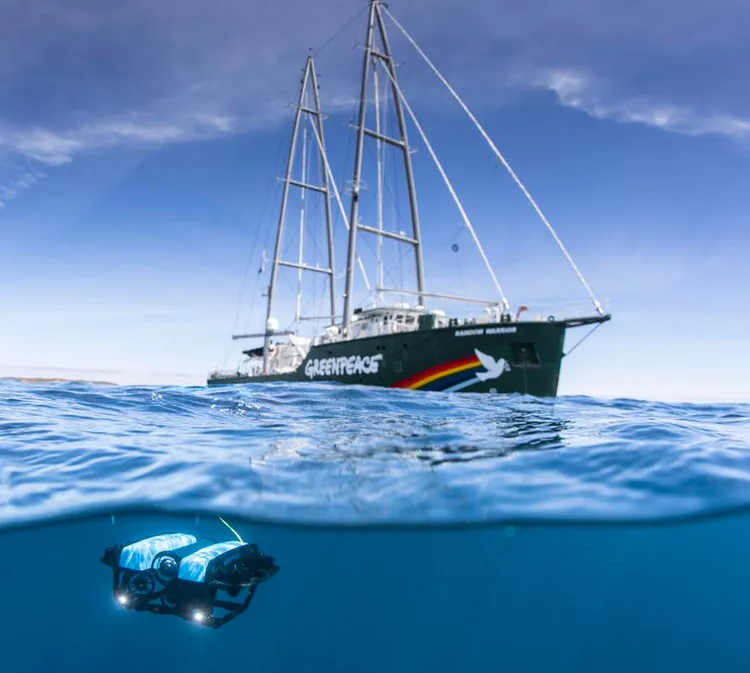 © Richard Robinson / Greenpeace