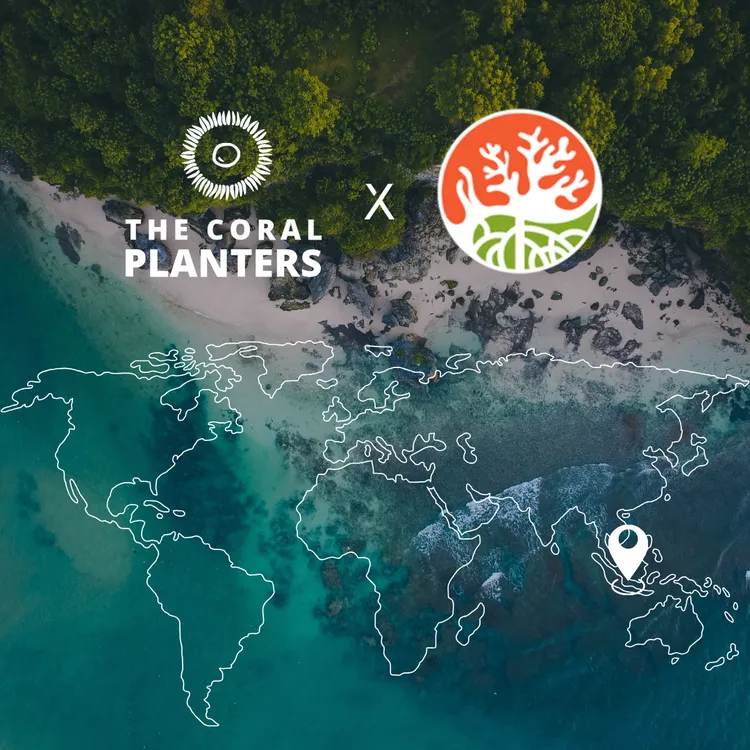 The Coral Planters Indonésie