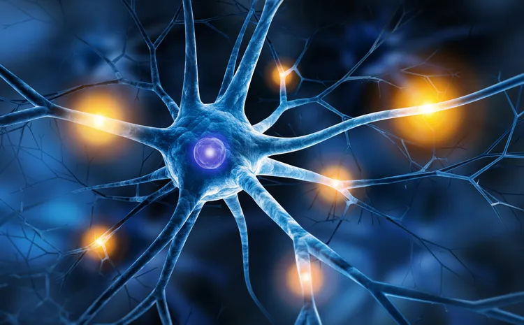Il n'existe aucun traitement curatif et les traitements existants impactent lourdement la qualité de vie des patients.