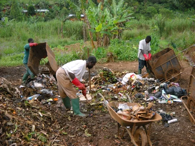 Contribution à la neutralité carbone Cameroun